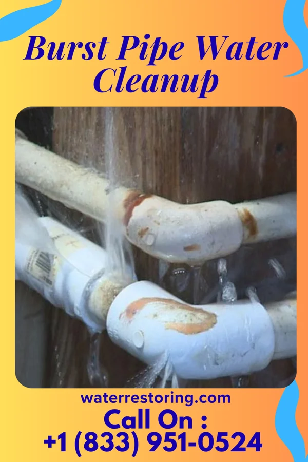 Burst Pipe Water Cleanup in Mesilla, NM