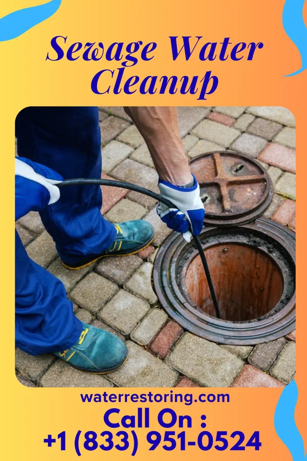 Sewage Water Cleanup in Mesilla, NM