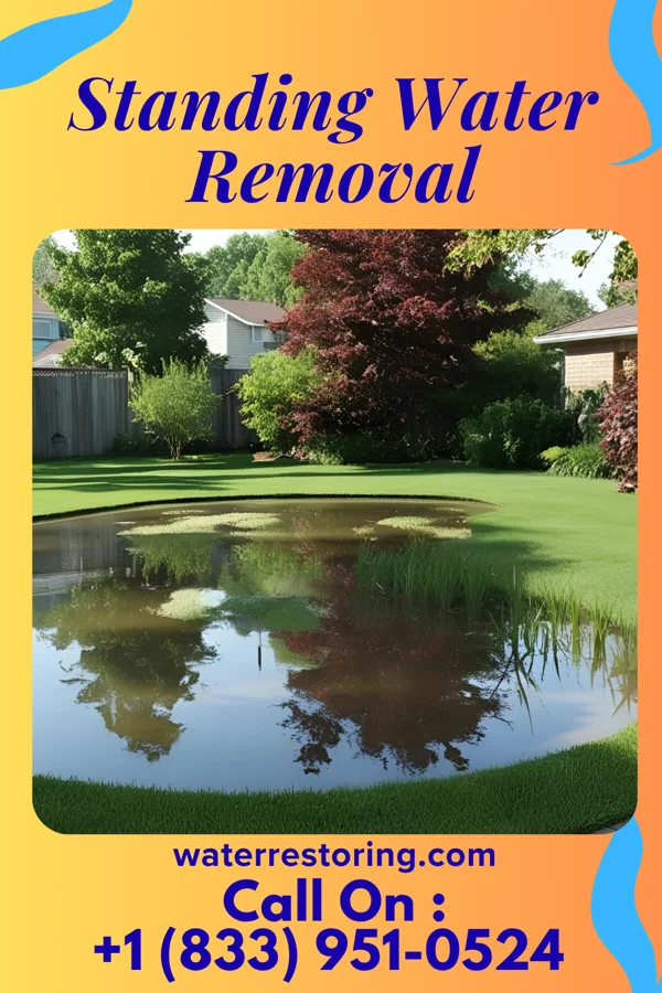 Standing Water Removal in Mesilla, NM